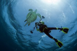 Búvár Ifjúsági és Családi Nap Gödöllőn – élmények, tudás és biztonság a víz alatt